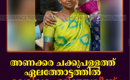 അണക്കര ചക്കുപള്ളത്ത് ഏലത്തോട്ടത്തില്‍ മരശിഖരം ഒടിഞ്ഞുവീണ് തൊഴിലാളി മരിച്ചു