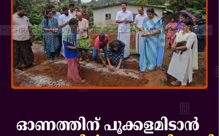 ഓണത്തിന് പൂക്കളമിടാന്‍ വാഴത്തോപ്പില്‍ ചെണ്ടുമല്ലി കൃഷി ആരംഭിച്ചു 