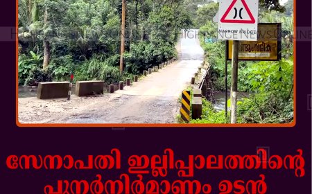 സേനാപതി ഇല്ലിപ്പാലത്തിന്റെ പുനര്‍നിര്‍മാണം ഉടന്‍: ഒരുവര്‍ഷത്തിനുള്ളില്‍ പൂര്‍ത്തീകരിക്കുമെന്ന് അഡ്വ. സേനാപതി വേണു എംഎല്‍എ