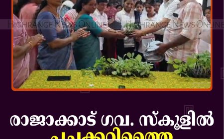രാജാക്കാട് ഗവ. സ്‌കൂളില്‍ പച്ചക്കറിത്തൈ വിതരണം ചെയ്തു
