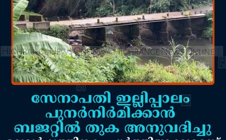 സേനാപതി ഇല്ലിപ്പാലം പുനര്‍നിര്‍മിക്കാന്‍ ബജറ്റില്‍ തുക അനുവദിച്ചു: ഒരുവര്‍ഷത്തിനകം പൂര്‍ത്തിയാക്കുമെന്ന് അഡ്വ. സേനാപതി വേണു 