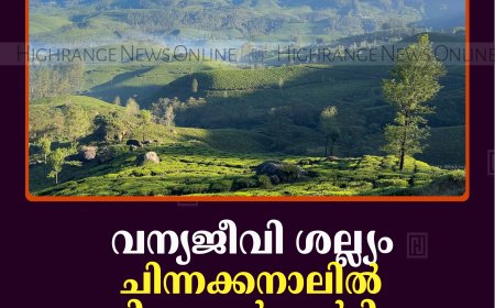 വന്യജീവി ശല്ല്യം: ചിന്നക്കനാലില്‍ പുതിയ ആര്‍ആര്‍ടിയെ നിയമിച്ച് വനംവകുപ്പ്   