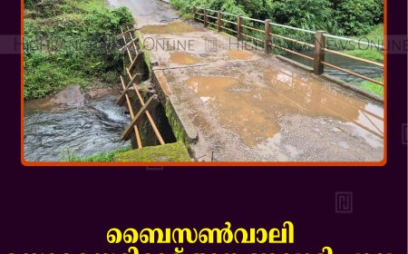 ബൈസണ്‍വാലി സൊസൈറ്റിമേട് അങ്കണവാടി പാലം അപകടാവസ്ഥയില്‍: പുതിയ പാലം വേണമെന്ന് ആവശ്യം