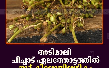 അടിമാലി പീച്ചാട് ഏലത്തോട്ടത്തില്‍ നൂറ് കിലോയിലധികം പച്ചഏലക്ക മോഷണം പോയി