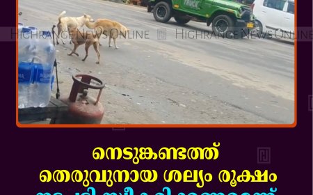 നെടുങ്കണ്ടത്ത് തെരുവുനായ ശല്യം രൂക്ഷം: നടപടി സ്വീകരിക്കണമെന്ന് വ്യാപാരി വ്യവസായി സമിതി  