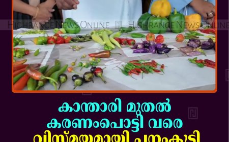 കാന്താരി മുതല്‍ കരണംപൊട്ടി വരെ: വിസ്മയമായി പനംകുട്ടി സെന്റ് ജോസഫ് പള്ളിയിലെ മുളക് ഫെസ്റ്റ്