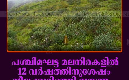 പശ്ചിമഘട്ട മലനിരകളില്‍ 12 വര്‍ഷത്തിനുശേഷം നീലക്കുറിഞ്ഞി വസന്തം: ഒരുക്കങ്ങളുമായി ജില്ലാ ഭരണകൂടം 