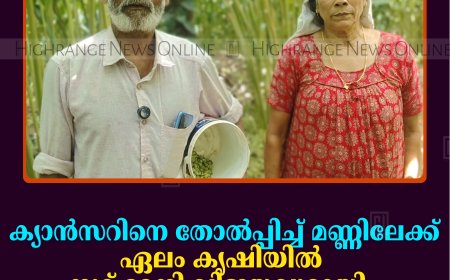 ക്യാന്‍സറിനെ തോല്‍പ്പിച്ച് മണ്ണിലേക്ക്: ഏലം കൃഷിയില്‍ നൂറ് മേനി വിജയവുമായി നെടുങ്കണ്ടം സ്വദേശി രാജു ദിവാകരന്‍ 
