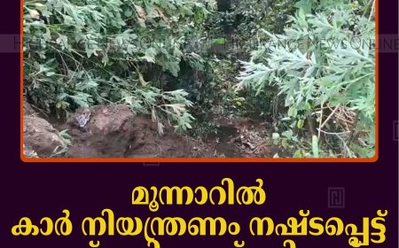 മൂന്നാറില്‍ കാര്‍ നിയന്ത്രണം നഷ്ടപ്പെട്ട് താഴ്ചയിലേക്ക് മറിഞ്ഞ് 5 പേര്‍ക്ക് പരിക്ക്