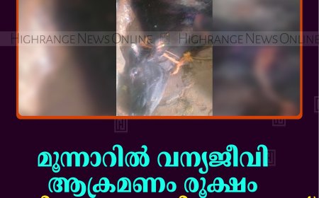 മൂന്നാറില്‍ വന്യജീവി ആക്രമണം രൂക്ഷം: അടിയന്തര നടപടി വേണമെന്ന് നാട്ടുകാര്‍