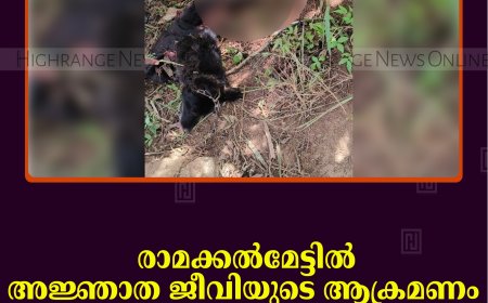 രാമക്കല്‍മേട്ടില്‍ അജ്ഞാത ജീവിയുടെ ആക്രമണം: വളര്‍ത്തുനായ ചത്തനിലയില്‍