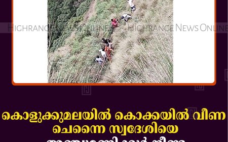 കൊളുക്കുമലയില്‍ കൊക്കയില്‍ വീണ ചെന്നൈ സ്വദേശിയെ അഞ്ചുമണിക്കൂര്‍ നീണ്ട പരിശ്രമത്തിനൊടുവില്‍ രക്ഷപെടുത്തി