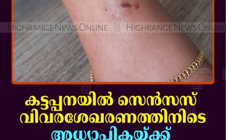 കട്ടപ്പനയില്‍ സെന്‍സസ് വിവരശേഖരണത്തിനിടെ അധ്യാപികയ്ക്ക് വളര്‍ത്തുനായയുടെ കടിയേറ്റു