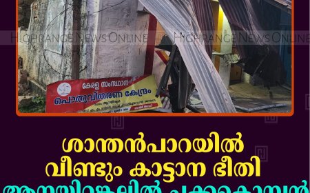 ശാന്തന്‍പാറയില്‍ വീണ്ടും കാട്ടാന ഭീതി: ആനയിറങ്കലില്‍ ചക്കകൊമ്പന്‍ റേഷന്‍ കട തകര്‍ത്തു