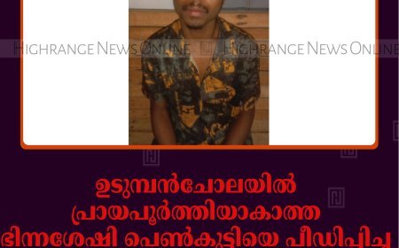ഉടുമ്പൻചോലയിൽ പ്രായപൂർത്തിയാകാത്ത ഭിന്നശേഷി പെൺകുട്ടിയെ പീഡിപ്പിച്ച മധ്യപ്രദേശ് സ്വദേശി അറസ്റ്റിൽ