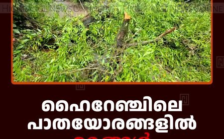 ഹൈറേഞ്ചിലെ പാതയോരങ്ങളില്‍ മരങ്ങള്‍ അപകടാവസ്ഥയില്‍