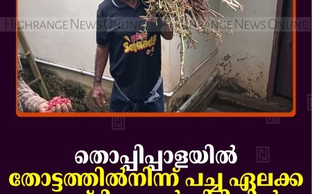 തൊപ്പിപ്പാളയില്‍ തോട്ടത്തില്‍നിന്ന് പച്ച ഏലക്ക മോഷ്ടിച്ചയാള്‍ പിടിയില്‍