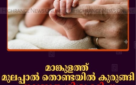മാങ്കുളത്ത് മുലപ്പാല്‍ തൊണ്ടയില്‍ കുരുങ്ങി നവജാത ശിശു മരിച്ചു