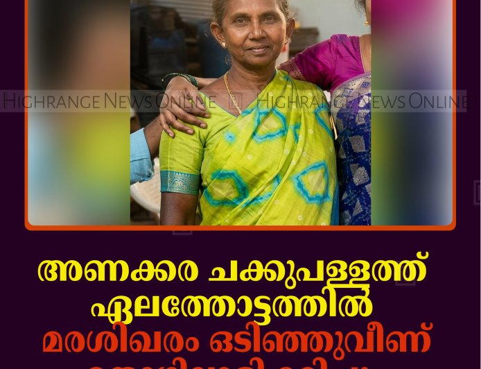 അണക്കര ചക്കുപള്ളത്ത് ഏലത്തോട്ടത്തില്‍ മരശിഖരം ഒടിഞ്ഞുവീണ് തൊഴിലാളി മരിച്ചു