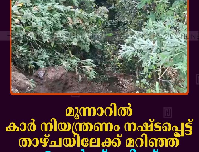 മൂന്നാറില്‍ കാര്‍ നിയന്ത്രണം നഷ്ടപ്പെട്ട് താഴ്ചയിലേക്ക് മറിഞ്ഞ് 5 പേര്‍ക്ക് പരിക്ക്