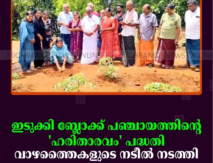 ഇടുക്കി ബ്ലോക്ക് പഞ്ചായത്തിന്റെ 'ഹരിതാരവം' പദ്ധതി: വാഴത്തൈകളുടെ നടീല്‍ നടത്തി