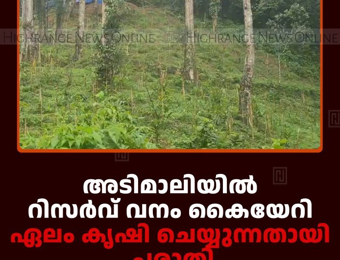 അടിമാലിയില്‍ റിസര്‍വ് വനം കൈയേറി ഏലം കൃഷി ചെയ്യുന്നതായി പരാതി