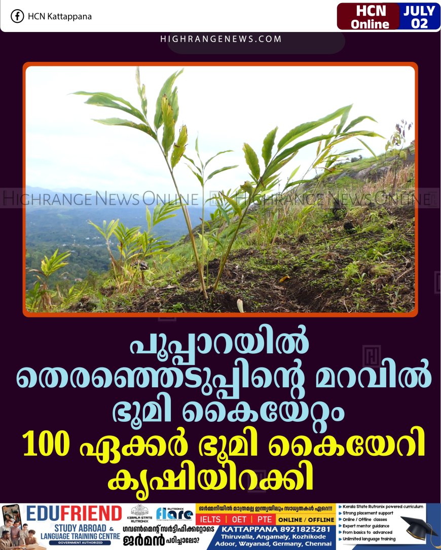 പൂപ്പാറയില്‍ തെരഞ്ഞെടുപ്പിന്റെ മറവില്‍ ഭൂമി കൈയേറ്റം: 100 ഏക്കര്‍ ഭൂമി കൈയേറി കൃഷിയിറക്കി   