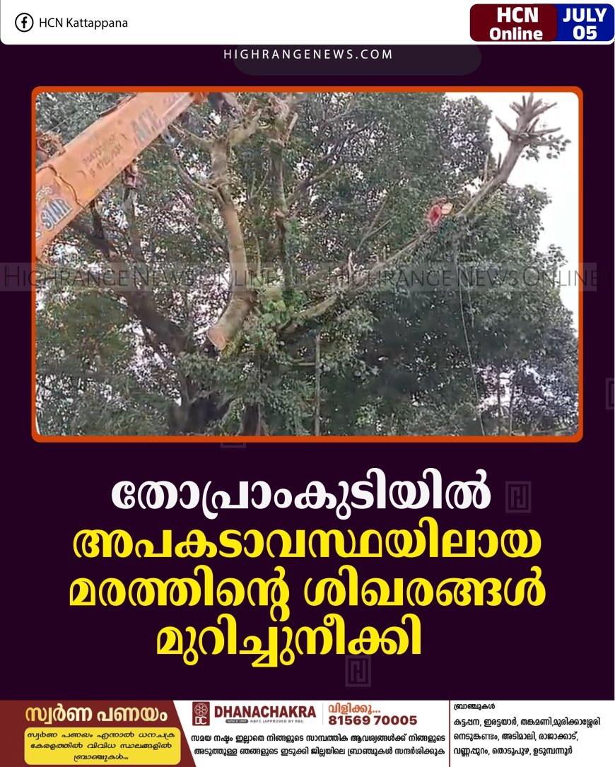 തോപ്രാംകുടിയില്‍ അപകടാവസ്ഥയിലായ മരത്തിന്റെ ശിഖരങ്ങള്‍ മുറിച്ചുനീക്കി   