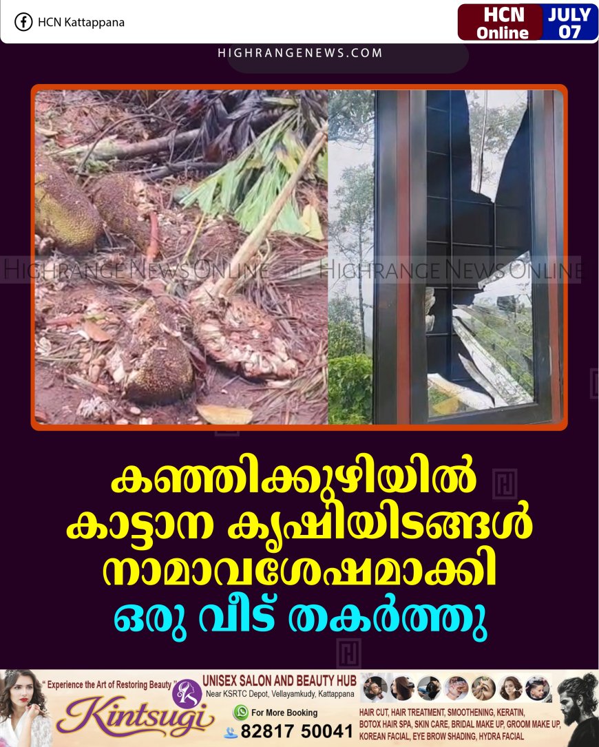 കഞ്ഞിക്കുഴിയില്‍ കാട്ടാന കൃഷിയിടങ്ങള്‍ നാമാവശേഷമാക്കി: ഒരു വീട് തകര്‍ത്തു    