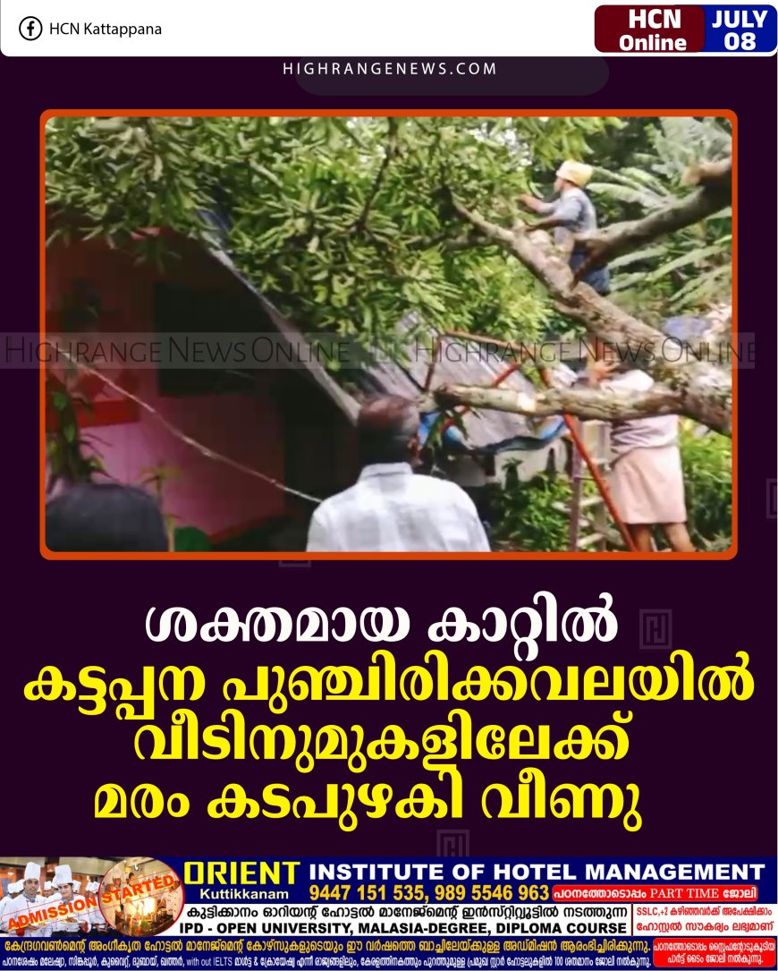 ശക്തമായ കാറ്റില്‍ കട്ടപ്പന പുഞ്ചിരിക്കവലയില്‍ വീടിനുമുകളിലേക്ക് മരം കടപുഴകി വീണു  
