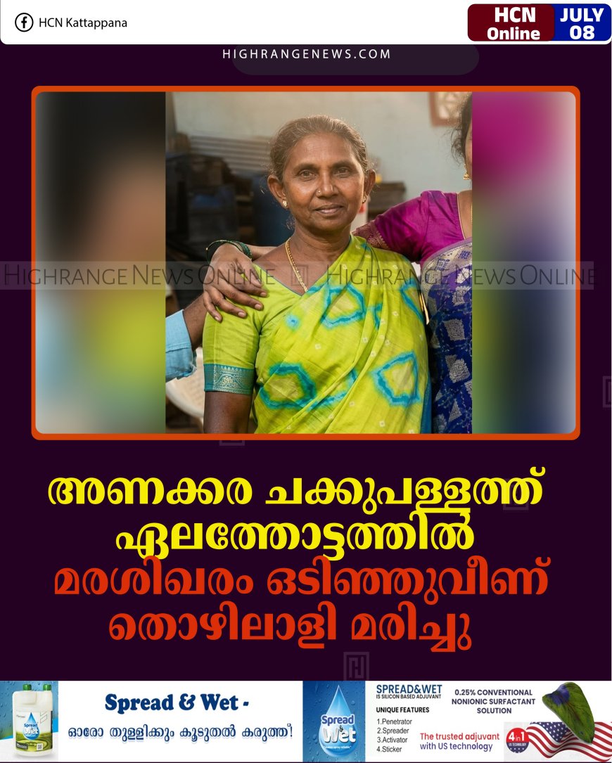 അണക്കര ചക്കുപള്ളത്ത് ഏലത്തോട്ടത്തില്‍ മരശിഖരം ഒടിഞ്ഞുവീണ് തൊഴിലാളി മരിച്ചു