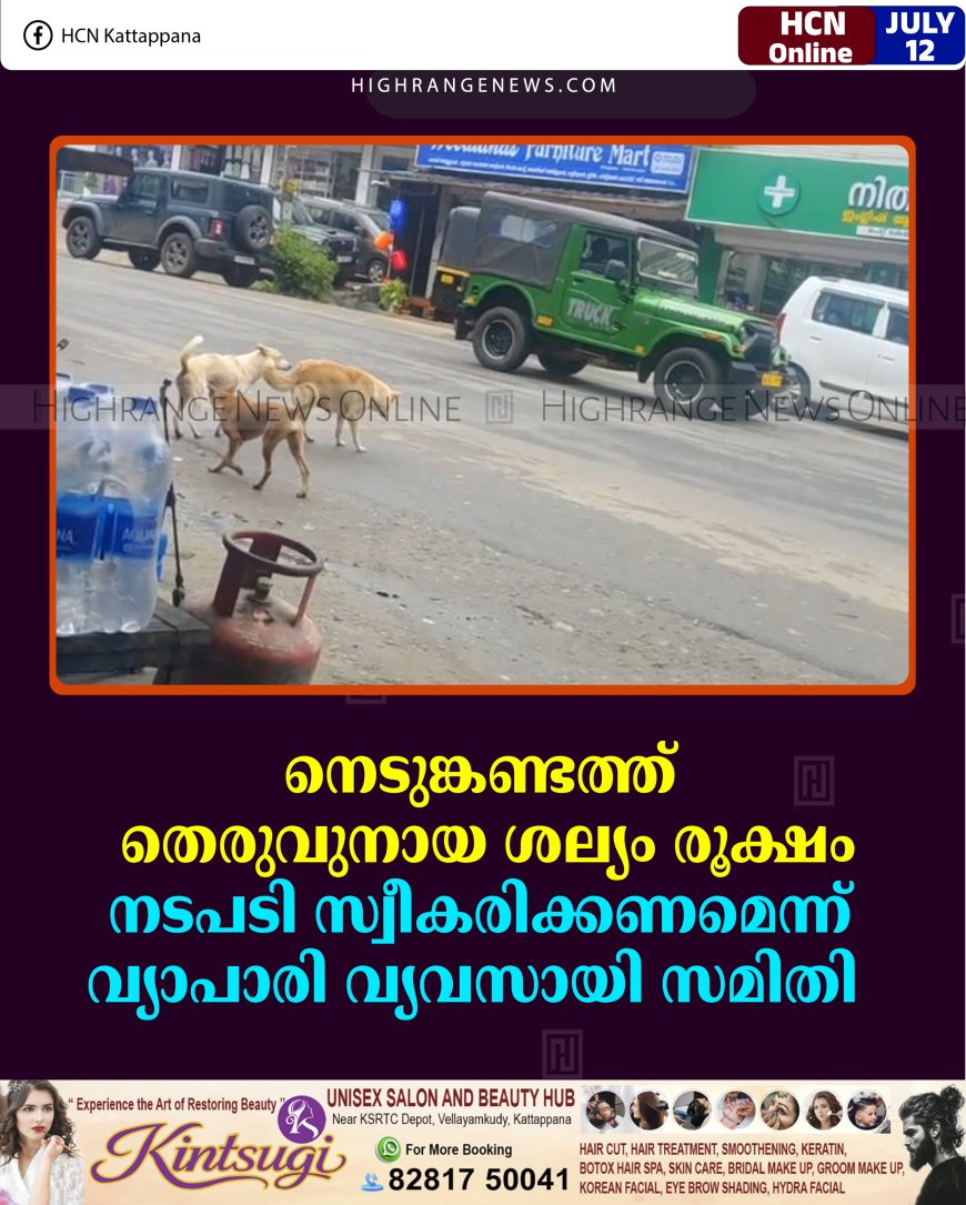 നെടുങ്കണ്ടത്ത് തെരുവുനായ ശല്യം രൂക്ഷം: നടപടി സ്വീകരിക്കണമെന്ന് വ്യാപാരി വ്യവസായി സമിതി  