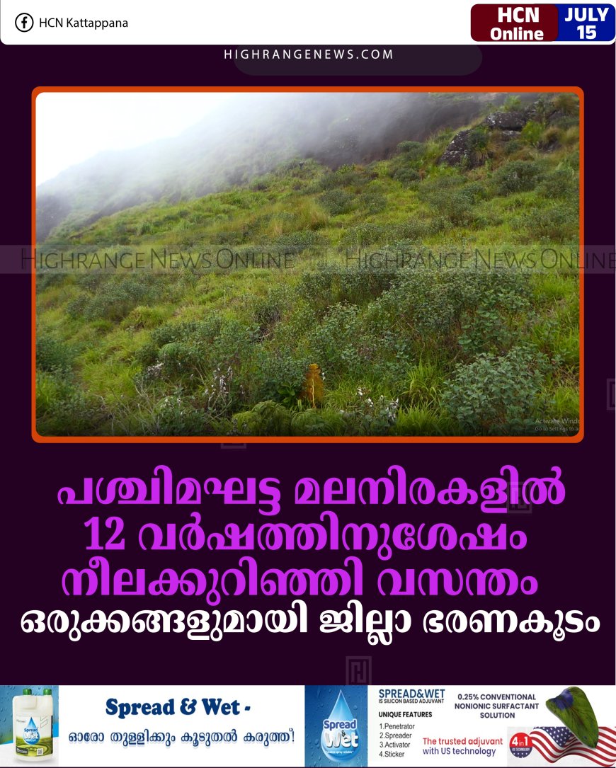 പശ്ചിമഘട്ട മലനിരകളില്‍ 12 വര്‍ഷത്തിനുശേഷം നീലക്കുറിഞ്ഞി വസന്തം: ഒരുക്കങ്ങളുമായി ജില്ലാ ഭരണകൂടം 