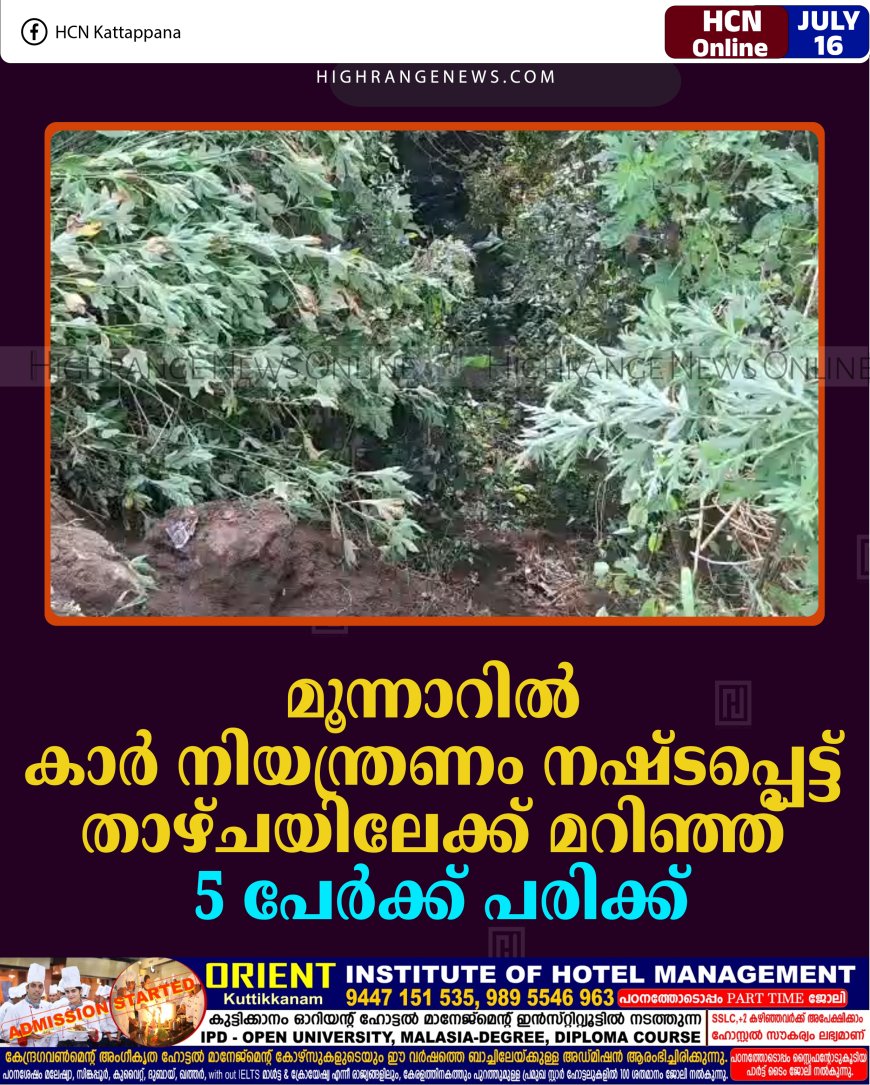 മൂന്നാറില്‍ കാര്‍ നിയന്ത്രണം നഷ്ടപ്പെട്ട് താഴ്ചയിലേക്ക് മറിഞ്ഞ് 5 പേര്‍ക്ക് പരിക്ക്