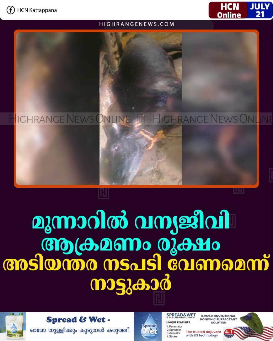 മൂന്നാറില്‍ വന്യജീവി ആക്രമണം രൂക്ഷം: അടിയന്തര നടപടി വേണമെന്ന് നാട്ടുകാര്‍