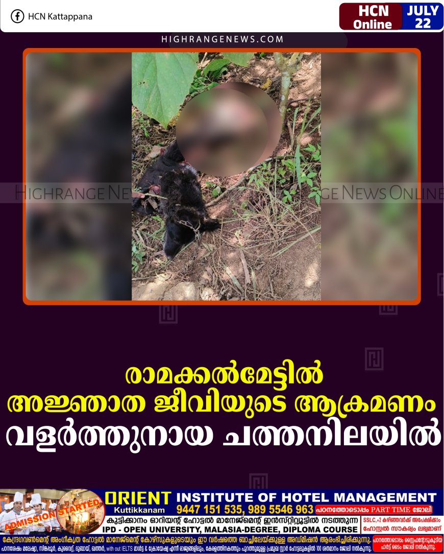 രാമക്കല്‍മേട്ടില്‍ അജ്ഞാത ജീവിയുടെ ആക്രമണം: വളര്‍ത്തുനായ ചത്തനിലയില്‍