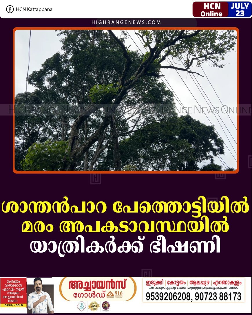 ശാന്തന്‍പാറ പേത്തൊട്ടിയില്‍ മരം അപകടാവസ്ഥയില്‍: യാത്രികര്‍ക്ക് ഭീഷണി   