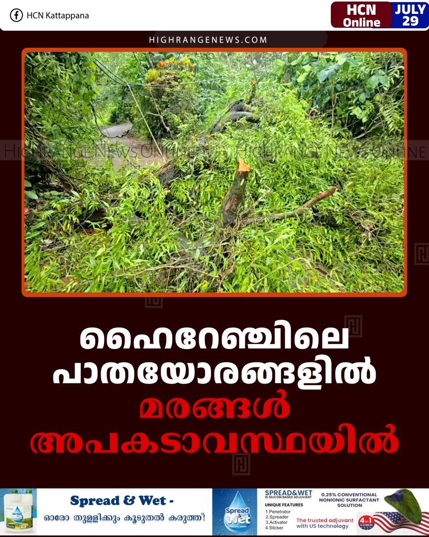 ഹൈറേഞ്ചിലെ പാതയോരങ്ങളില്‍ മരങ്ങള്‍ അപകടാവസ്ഥയില്‍