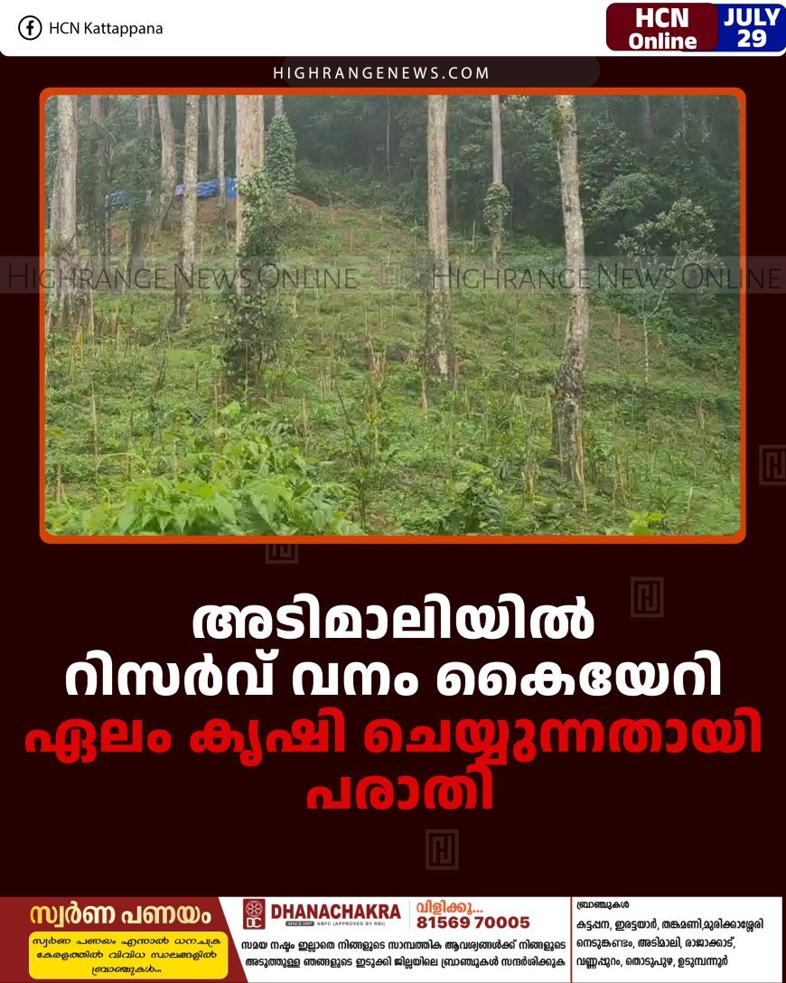 അടിമാലിയില്‍ റിസര്‍വ് വനം കൈയേറി ഏലം കൃഷി ചെയ്യുന്നതായി പരാതി