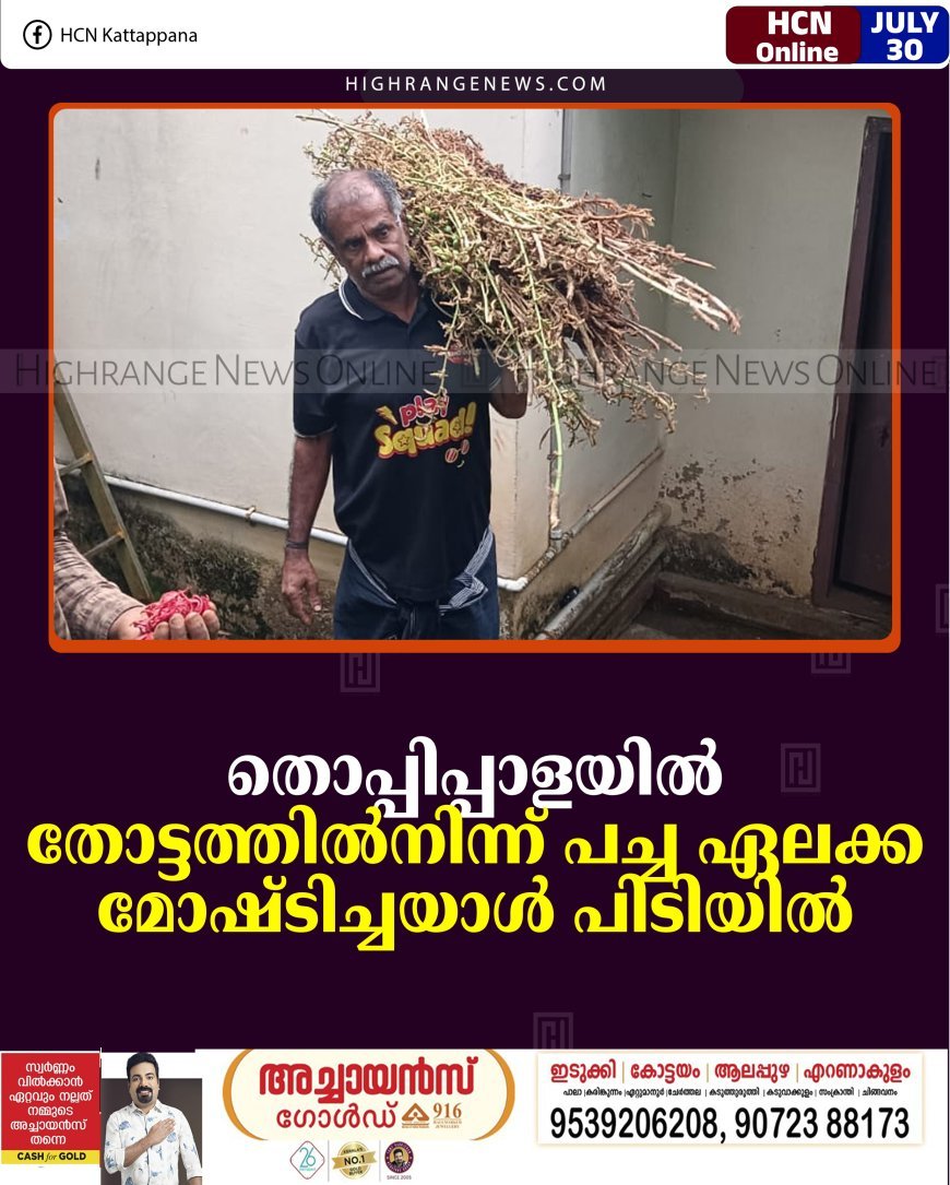 തൊപ്പിപ്പാളയില്‍ തോട്ടത്തില്‍നിന്ന് പച്ച ഏലക്ക മോഷ്ടിച്ചയാള്‍ പിടിയില്‍