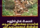 മണ്ണിടിച്ചില്‍ ഭീഷണി: കട്ടപ്പന - പുളിയന്‍മല റോഡില്‍ എട്ട് കുടുംബങ്ങള്‍ ഭീതിയില്‍