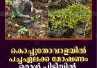 കൊച്ചുതോവാളയില്‍ പച്ചഏലക്ക മോഷണം: ഒരാള്‍ പിടിയില്‍