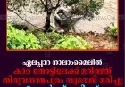 ഏലപ്പാറ നാലാംമൈലില്‍ കാര്‍ തോട്ടിലേക്ക് മറിഞ്ഞ് തിരുവനന്തപുരം സ്വദേശി മരിച്ചു: 3 പേര്‍ക്ക് പരിക്ക്