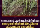 രാജാക്കാട് എന്‍ആര്‍സിറ്റിയിലെ തോട്ടത്തില്‍നിന്ന് 300 കിലോ പച്ചഏലക്ക മോഷ്ടിച്ചു