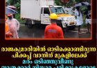 രാജകുമാരിയില്‍ ഓടിക്കൊണ്ടിരുന്ന പിക്കപ്പ് വാനിന് മുകളിലേക്ക് മരം ഒടിഞ്ഞുവീണു: യാത്രക്കാര്‍ നിസാര പരിക്കുകളോടെ രക്ഷപ്പെട്ടു