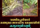 വണ്ടിപ്പെരിയാര്‍ മഞ്ജുമല ജനവാസ മേഖലയില്‍ കാട്ടാനയിറങ്ങി ഏലം കൃഷി നശിപ്പിച്ചു 