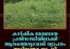 കാര്‍ഷിക മേഖലയെ പ്രതിസന്ധിയിലാക്കി ആനത്തൊട്ടാവാടി വ്യാപനം: അടിയന്തര നടപടി വേണമെന്ന് കര്‍ഷകര്‍ 