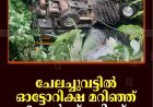 ചേലച്ചുവട്ടില്‍ ഓട്ടോറിക്ഷ മറിഞ്ഞ് 3 പേര്‍ക്ക് പരിക്ക്