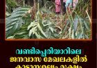 വണ്ടിപ്പെരിയാറിലെ ജനവാസ മേഖലകളില്‍ കാട്ടാനശല്യം രൂക്ഷം 