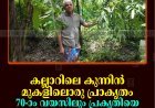 കല്ലാറിലെ കുന്നിന്‍ മുകളിലൊരു പ്രാകൃതം: 70-ാം വയസിലും പ്രകൃതിയെ സ്‌നേഹിക്കുന്ന സുധാകരന്‍ നായര്‍ 